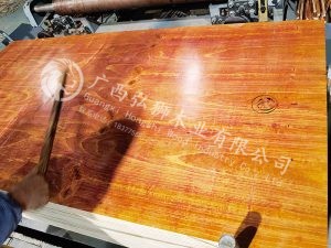 �����޽�ģ������