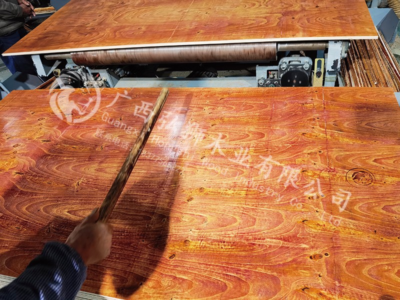 ��ˮ�޽�ģ�峧��