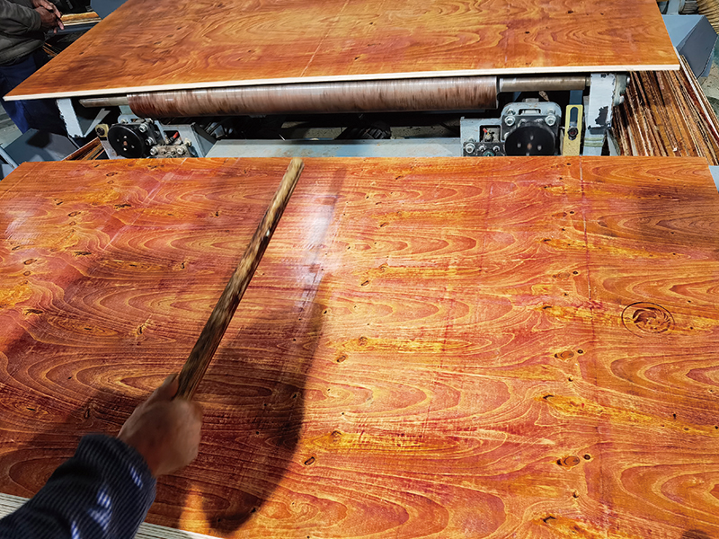 ��ˮ�޽�ģ�峧�Ҳ�ͼ